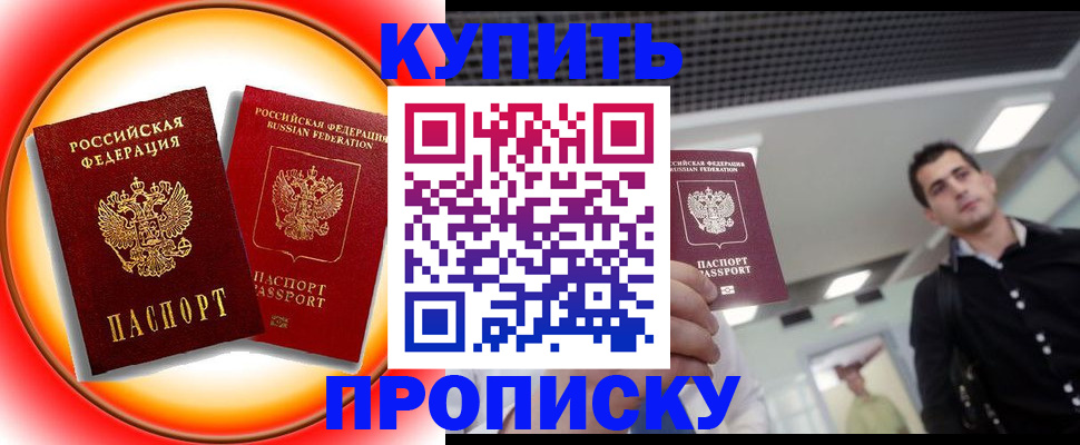 временная прописка в Новозыбкове